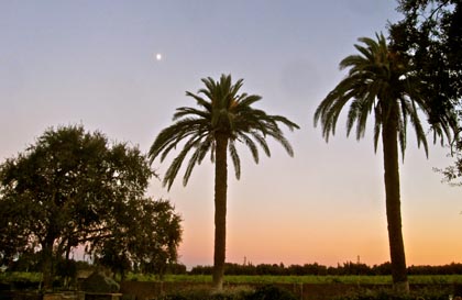 Rising moon over Michael-David's Bare Ranch last Friday (11/17, Yom Kippur)