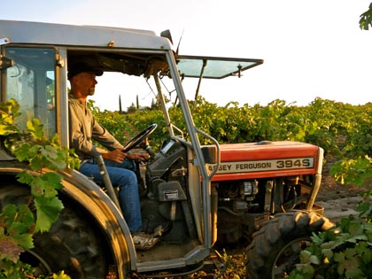 Todd Maley tractoring his macro-bins through vineyard