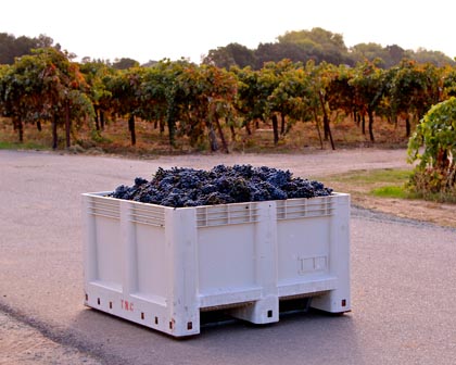 Kirschenmann Zinfandel ready to be loaded and sent to Turley