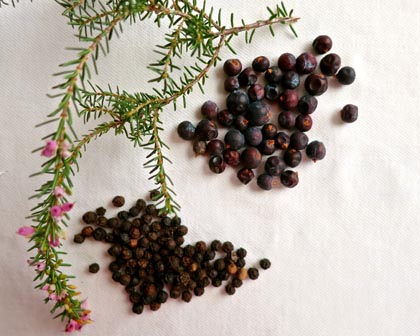 Juniper berries and peppercorns