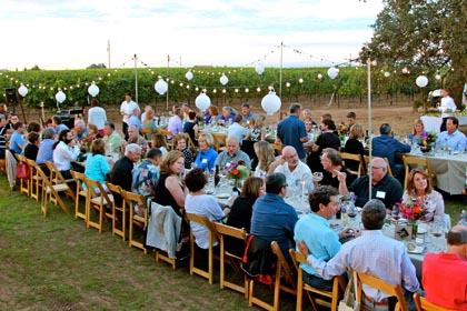 Late August: harvest dinner (for grower and winery clients) in Bokisch Ranches' Terra Alta Vineyard