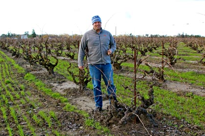 Turley Wine Cellars’ Tegan Passalacqua (standing in his Kirschenmann Vineyard, located on Lodi’s east side) will be on the “Lodi Outsiders” panel as part of 2014′s Lodi ZinFest Wine School