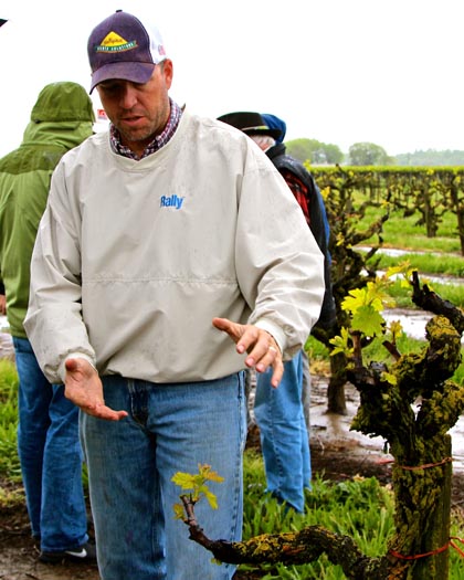 Mohr-Fry Ranches’ Bruce Fry showing 113-year old vines in Marian’s Vineyard