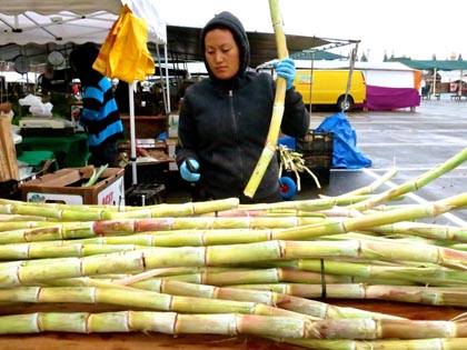 Sugar cane at Galt Market