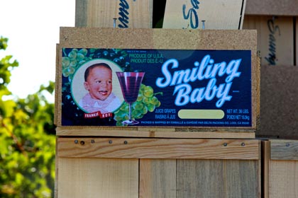 Another Delta Packing Co. label: Smiling Baby!