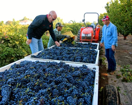 September 3: McCay Cellars’ Mike McCay (left) and grower Craig Rous (right) with Rous Vineyard Zinfandel