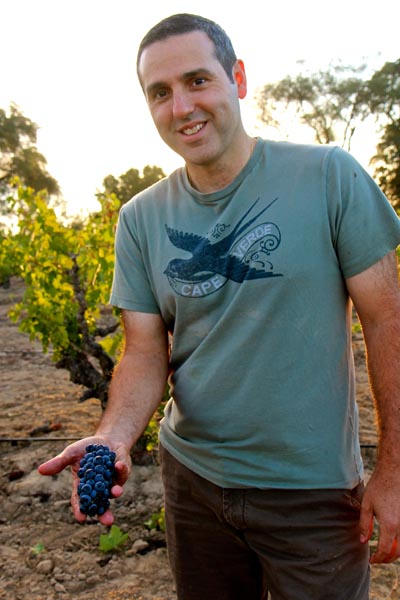 August 25: Jeff Perlegos with typically tiny Zinfandel cluster from his Stampede Vineyard
