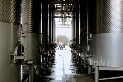 Through the stainless steel fermentors at LangeTwins winery…