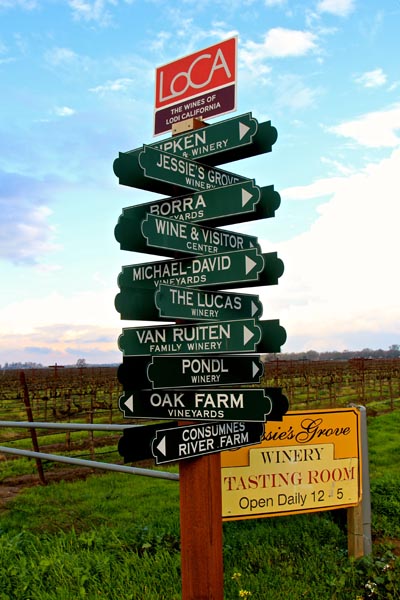 Hello and so long from Lodi wine country!