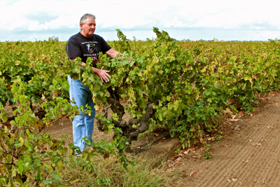Lance Randolph with his Periano family’s Zinfandel, planted in the 1890s