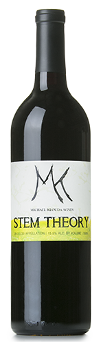 2016 Michael Klouda Stem Theory Image