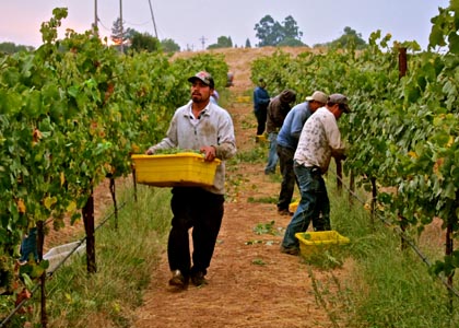 Bokisch Albarino, Sept. 9