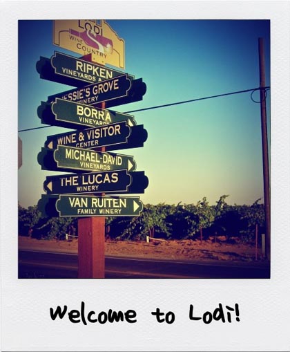 Lodi sign, polaroin 2