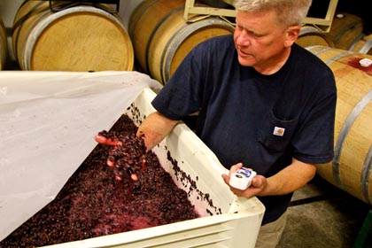 m2′s Layne Montgomery takes measure of just-crushed Soucie Vineyard Zinfandel (picked September 13)