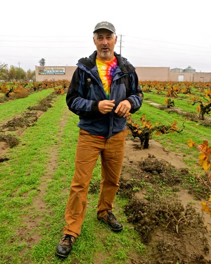 Macchia’s Tim Holdener among old vine Zinfandel in Noma Ranch