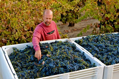 Todd Maley with his Weget Vineyard Zinfandel