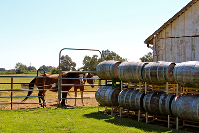 Historic Jessie’s Grove Winery estate