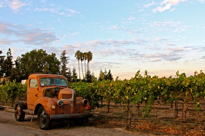 “This ol’ truck” in Harney Lane’s vineyard