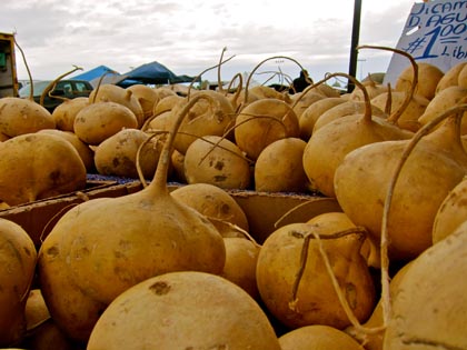 Jicama in Galt market