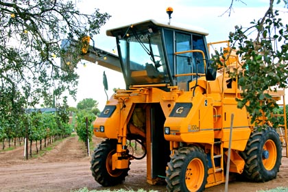 August: mechanical harvester in Bokisch Ranches' Terra Alta Vineyard, ready to go to work