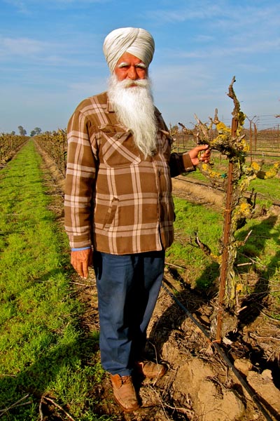 Barsetti grower, Amrik Dahliwal