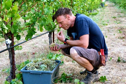 Markus Niggli tasting Kerner in Mokelumne Glen