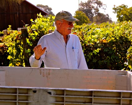 Third generation Lodi grower/owner Steve Borra