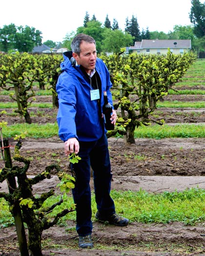 Maley Brothers winemaker Chad Joseph in Wegat Vineyard