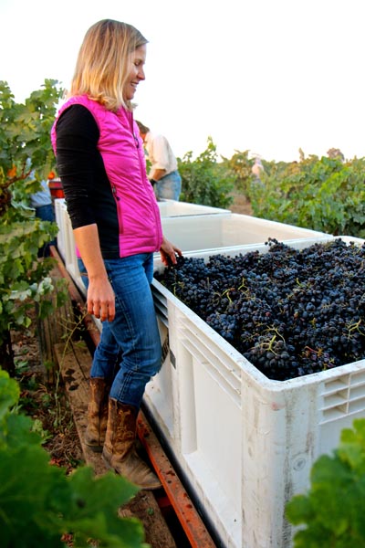 Estate Crush’s Bob and Alison Colarossi, tasting their estate grown Stellina Zinfandel, just finishing native yeast open top fermentation on September 5th