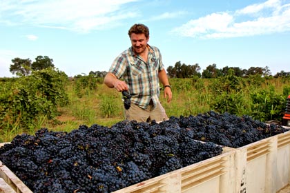 Bedrock Wine Company’s Morgan Twain-Peterson with Stampede Vineyard Zinfandel