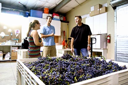 Markus and Liz Bokisch with Verdelho harvest in Lodi’s Borden Ranch AVA