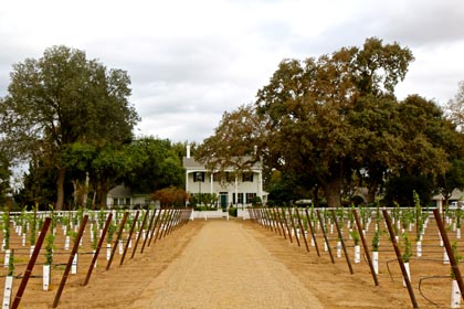 The 1864 DeVries home, with newly planted vines