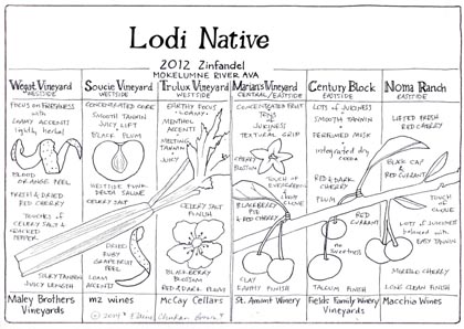 Lodi Native flavor analogies illustrated by Elaine “Hawk Wakawaka” Brown