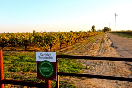 Over 20,000 acres in the Lodi AVA are Lodi Rules certified; such as Dave Devine’s pristinely cultivated LDL Vineyards Zinfandel, located on the gentle slopes of Lodi’s Clements Hills AVA