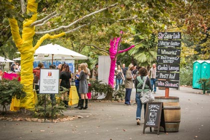 Signs of May:  At the annual Lodi ZinFest, it is very hard to get lost.