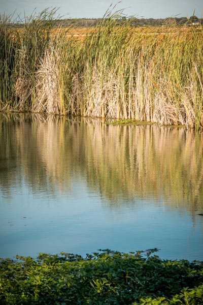 September:  2014 was all about the drought, with water usage on everyone’s mind.