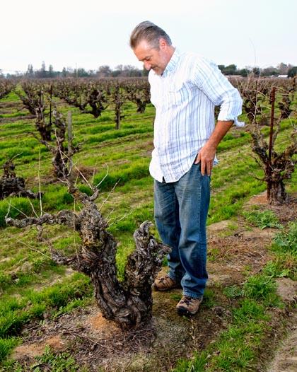 Markus Bokisch with Zinfandel in Mokelumne River AVA’s fine sandy loam