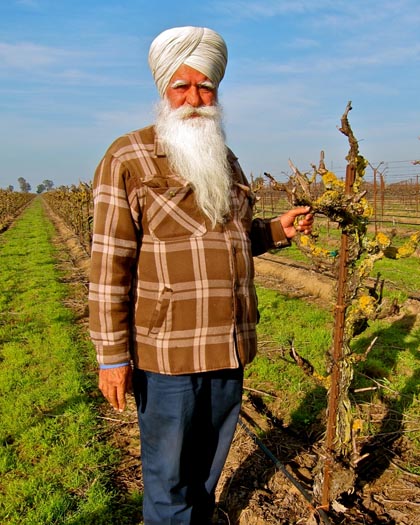 West side grower Amrik Dhaliwal