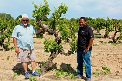 Klinker Brick’s Steve Felten and Joseph Smith with towering, ancient Rauser Vineyard Carignan