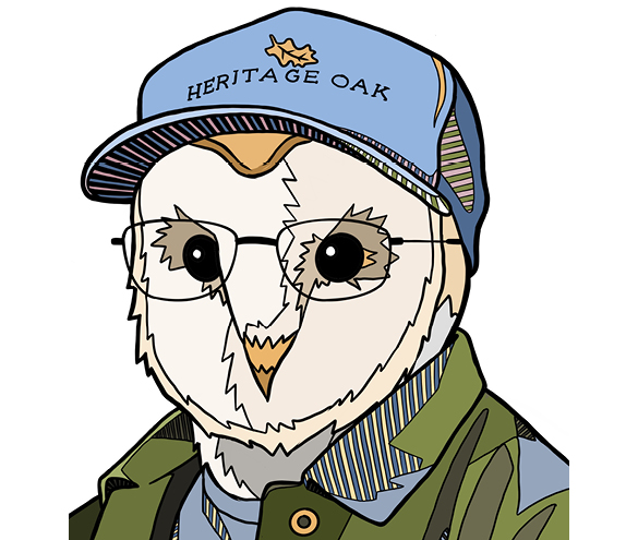 owl box tom