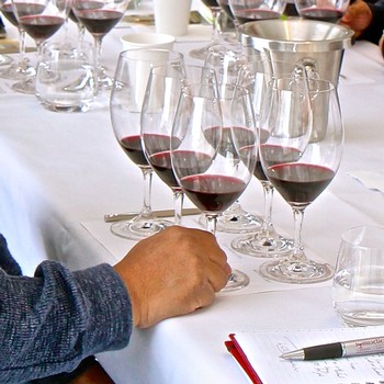 Lodi Winegrape Commission - Blog - Seven basic ways to improve your ...