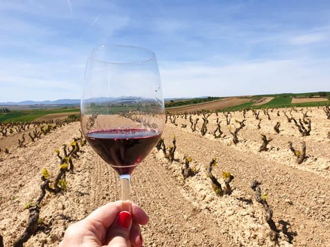 https://www.lodiwine.com/assets/client/Image/Rioja-wineglass.jpg