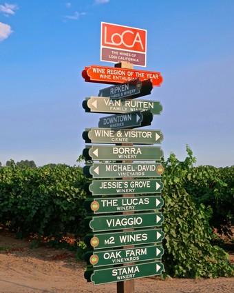 Lodi california best sale wine