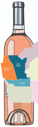 Alta Mesa, Cosumnes River and Jahant AVAs 3-Pack
