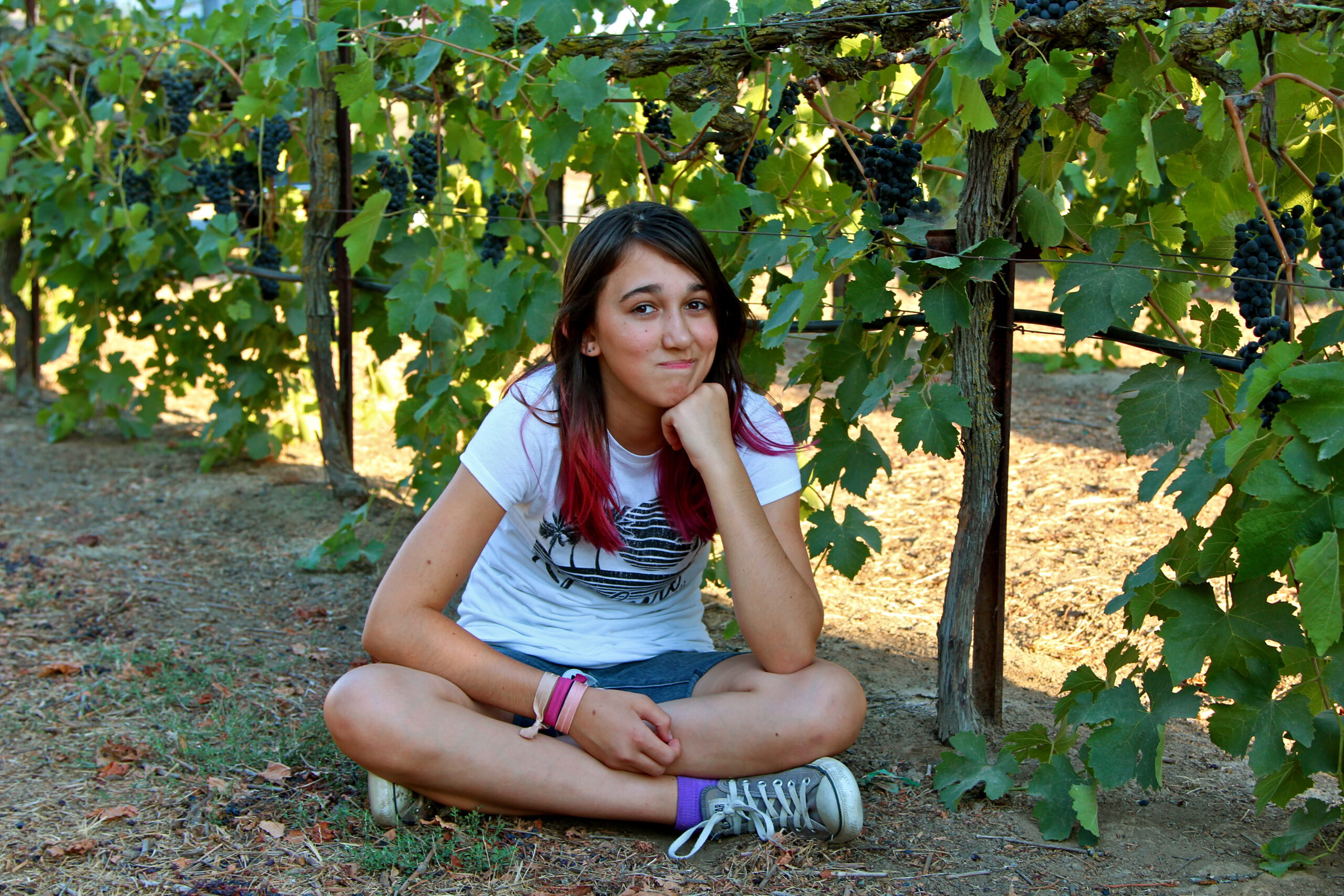 Young girl sitting in a vineyard with grapevines and ripe grapes, enjoying the scenic wine country of Lodi.