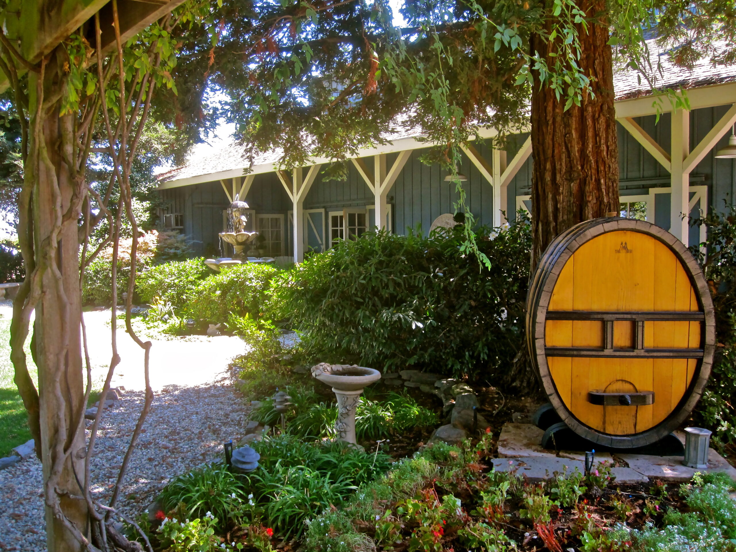 Lodi Winegrape Commission vineyard with lush greenery, a wine barrel, and a shaded building in the background.