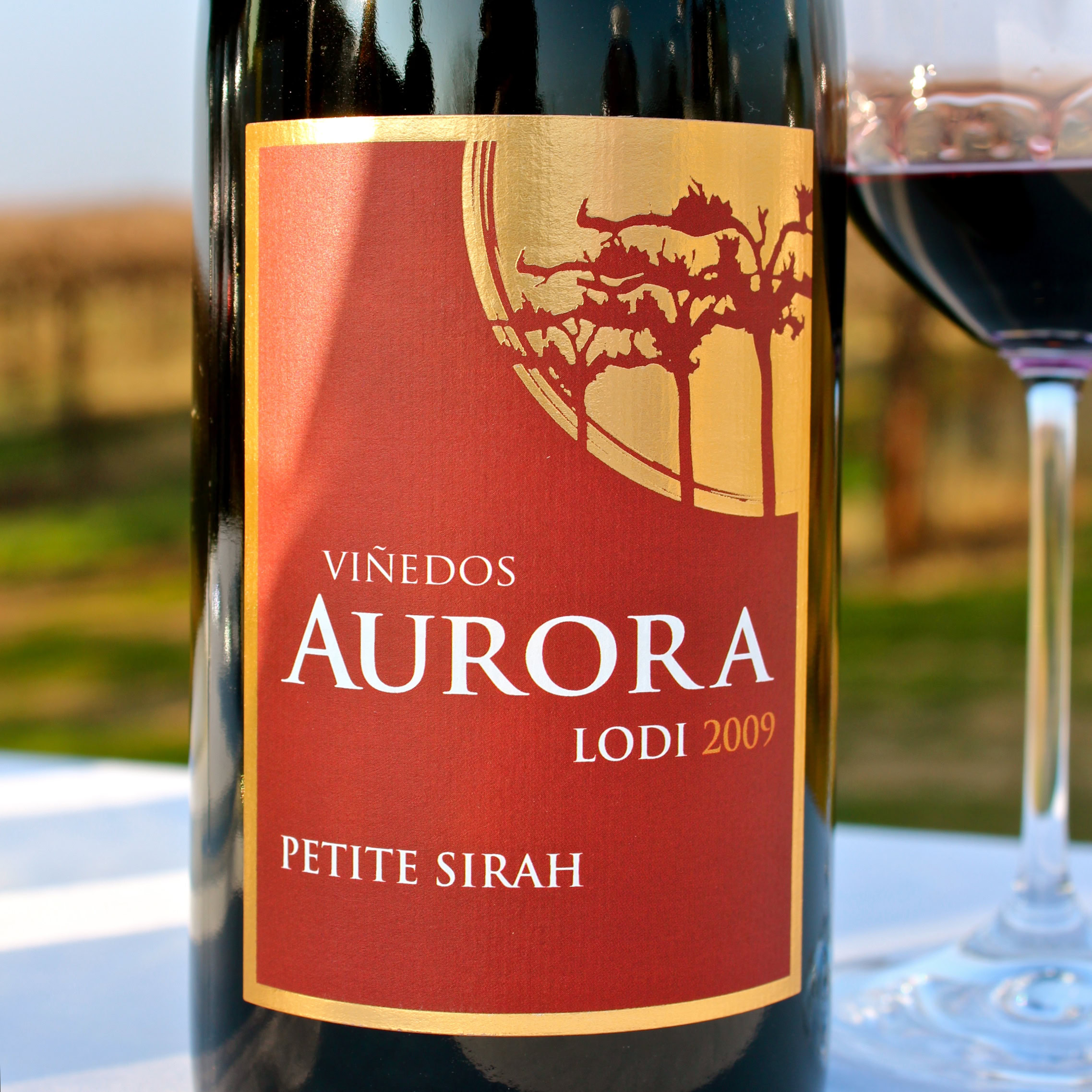 Lodi Aurora Petite Sirah 2009 wine bottle with vineyard background.