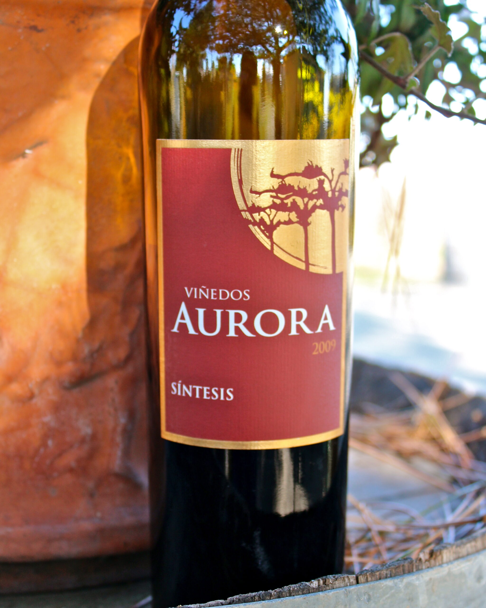 Close-up of Aurora wine bottle with vineyard background, showcasing Lodi's premium wine production.