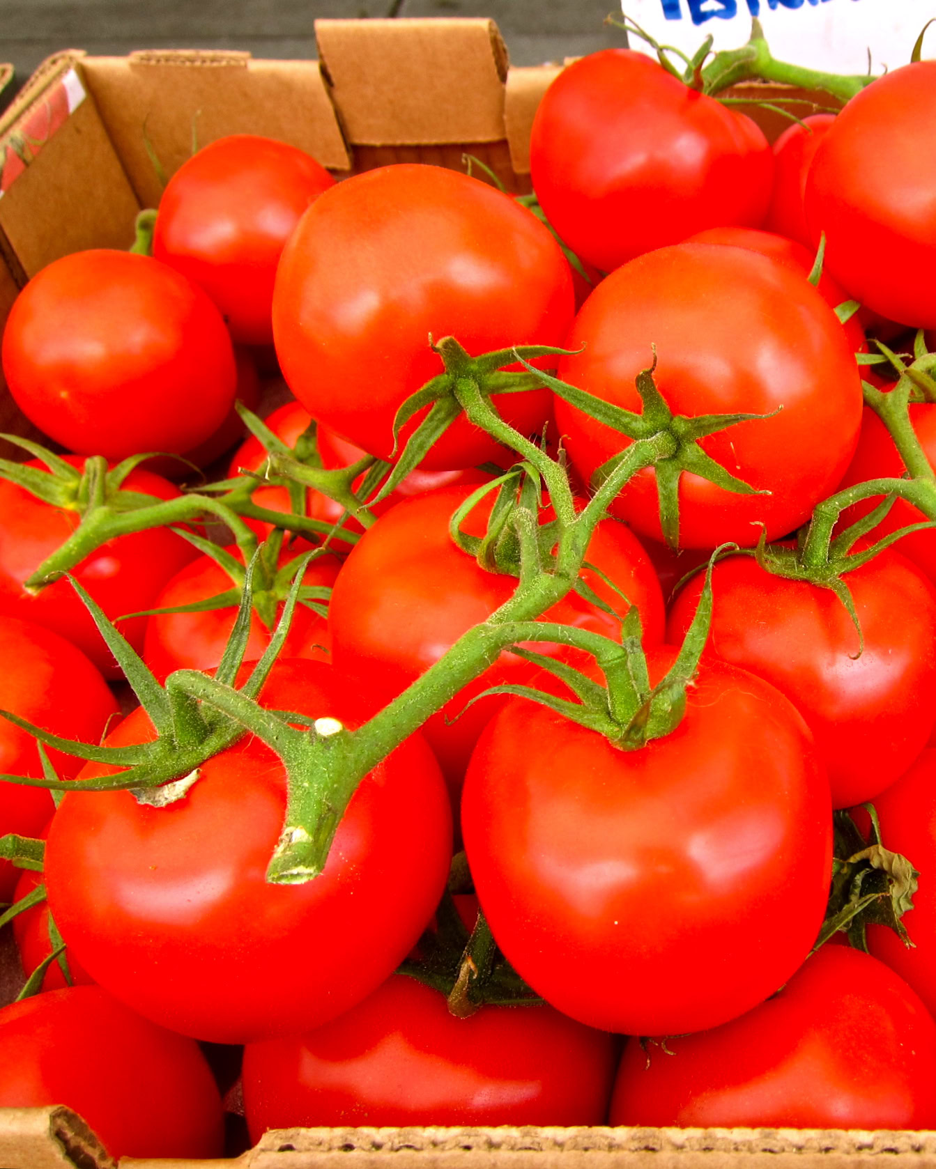 Bright red, ripe tomatoes on the vine in a cardboard box, ready for harvest or sale.