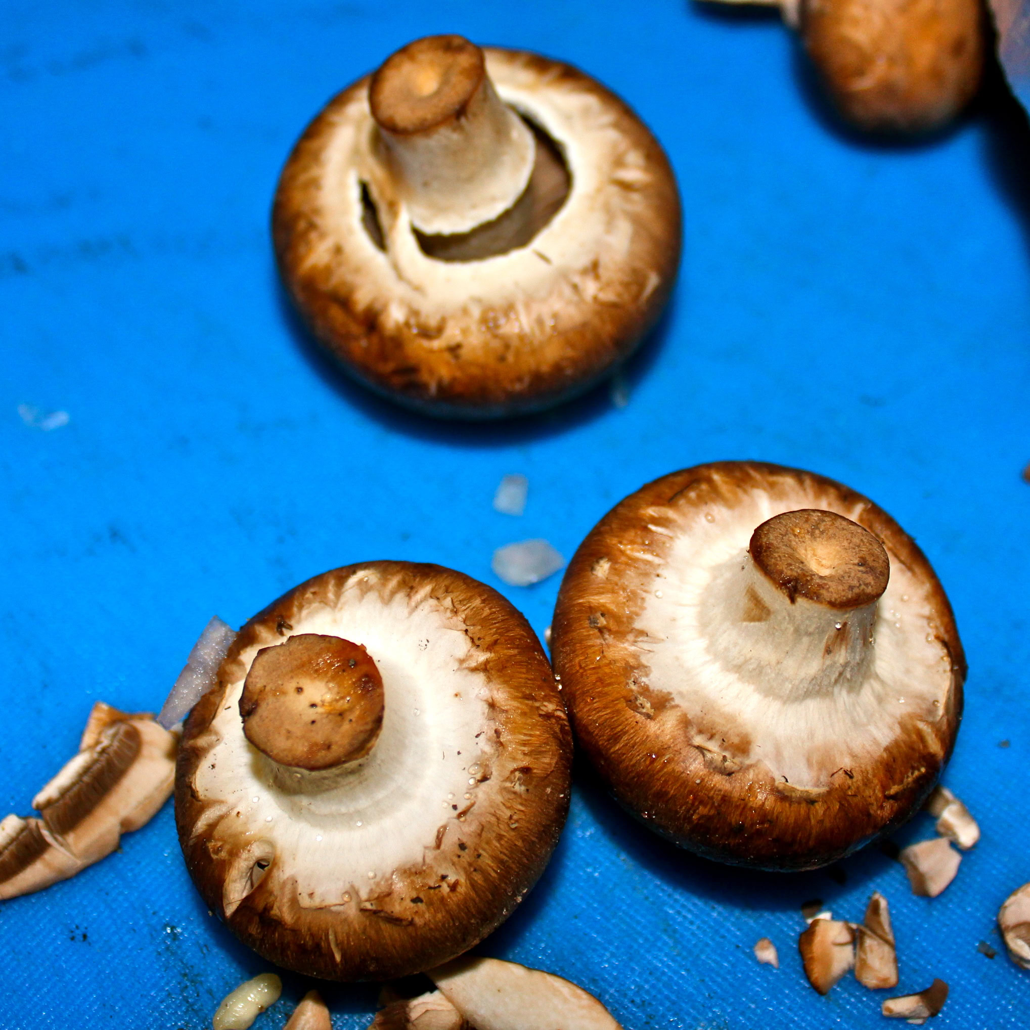 Close-up of fresh brown mushrooms on a blue surface, ready for culinary use.